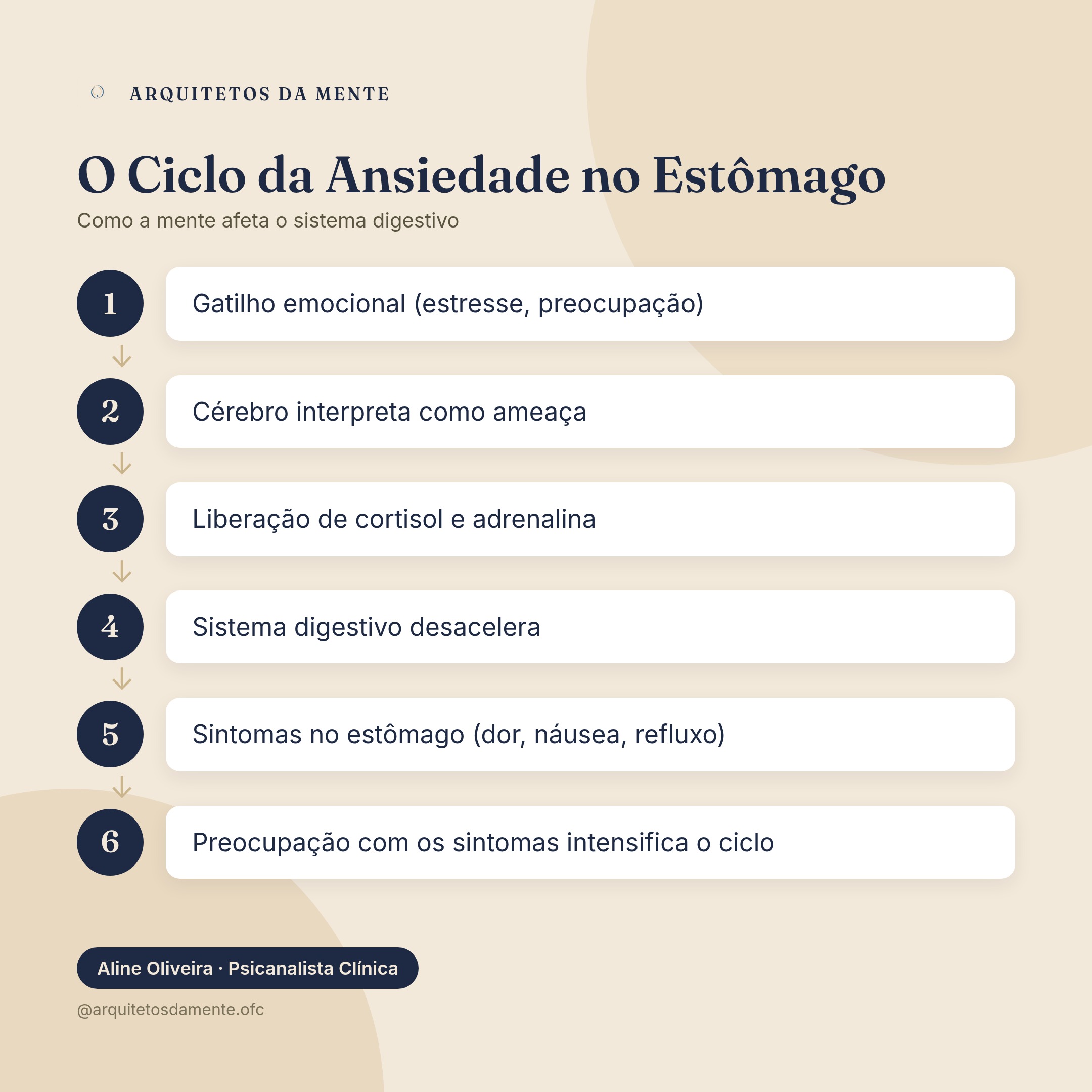 Infográfico sobre ansiedade ataca o estômago — Ciclo da ansiedade no estômago mostrando conexão entre mente e sistema digestivo