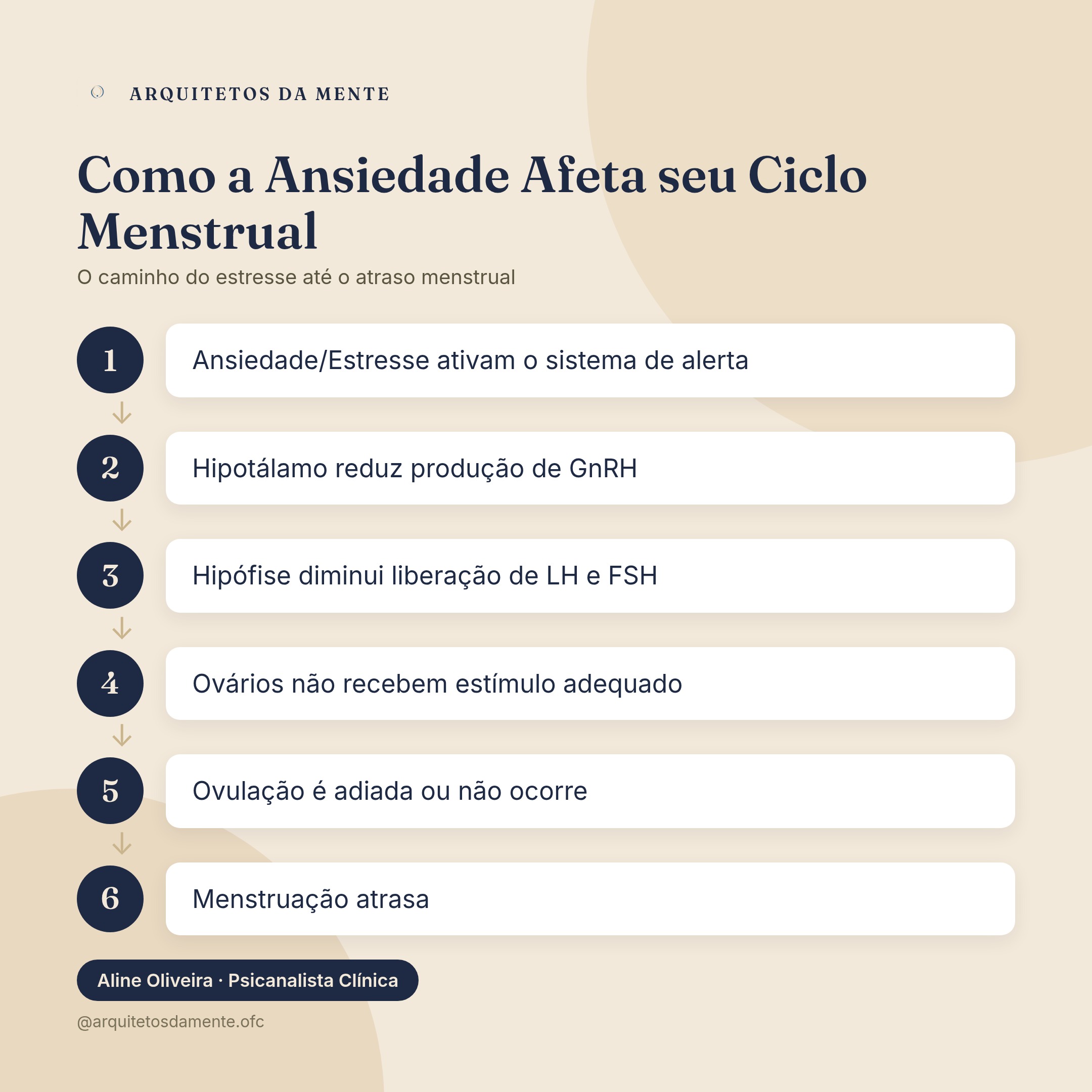 Infográfico sobre ansiedade pode atrasar menstruação — Ciclo da ansiedade no sistema reprodutivo feminino mostrando como estresse afeta menstruação