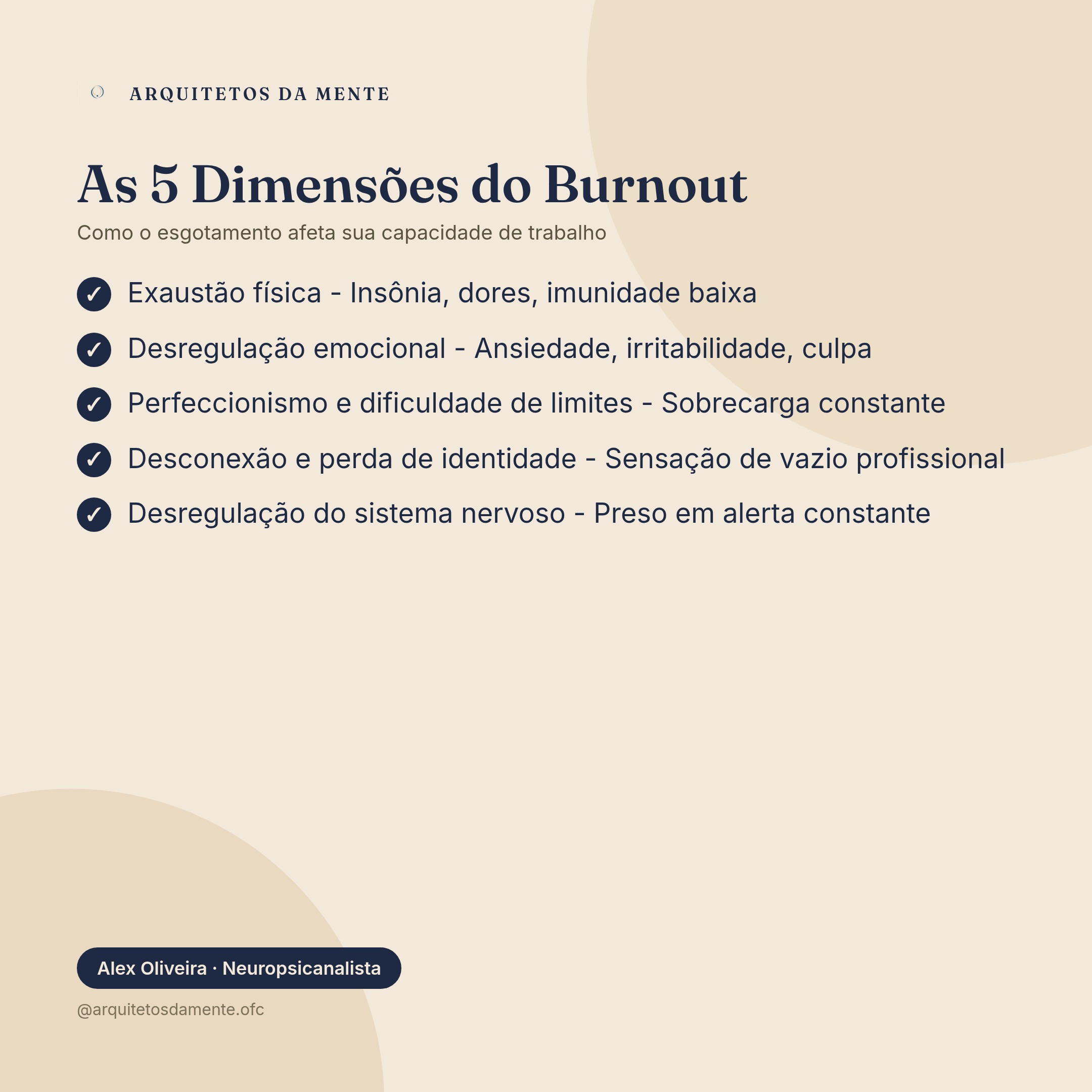 Infográfico sobre burnout pode ser demitido — Cinco dimensões do burnout: exaustão física, desregulação emocional, perfeccionismo, desconexão e sistema nervoso
