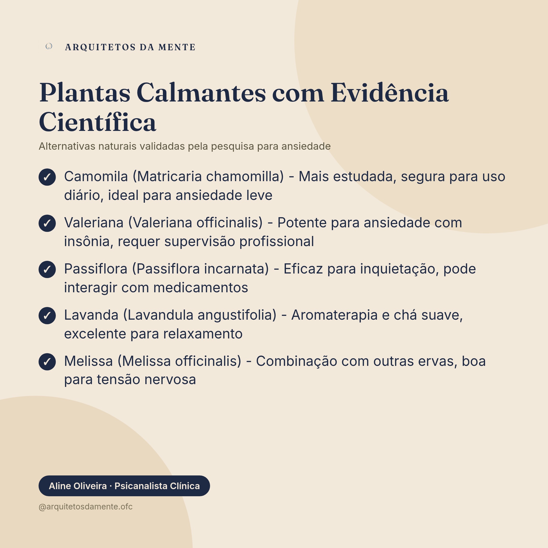 Lista completa de plantas calmantes naturais para ansiedade com evidência científica