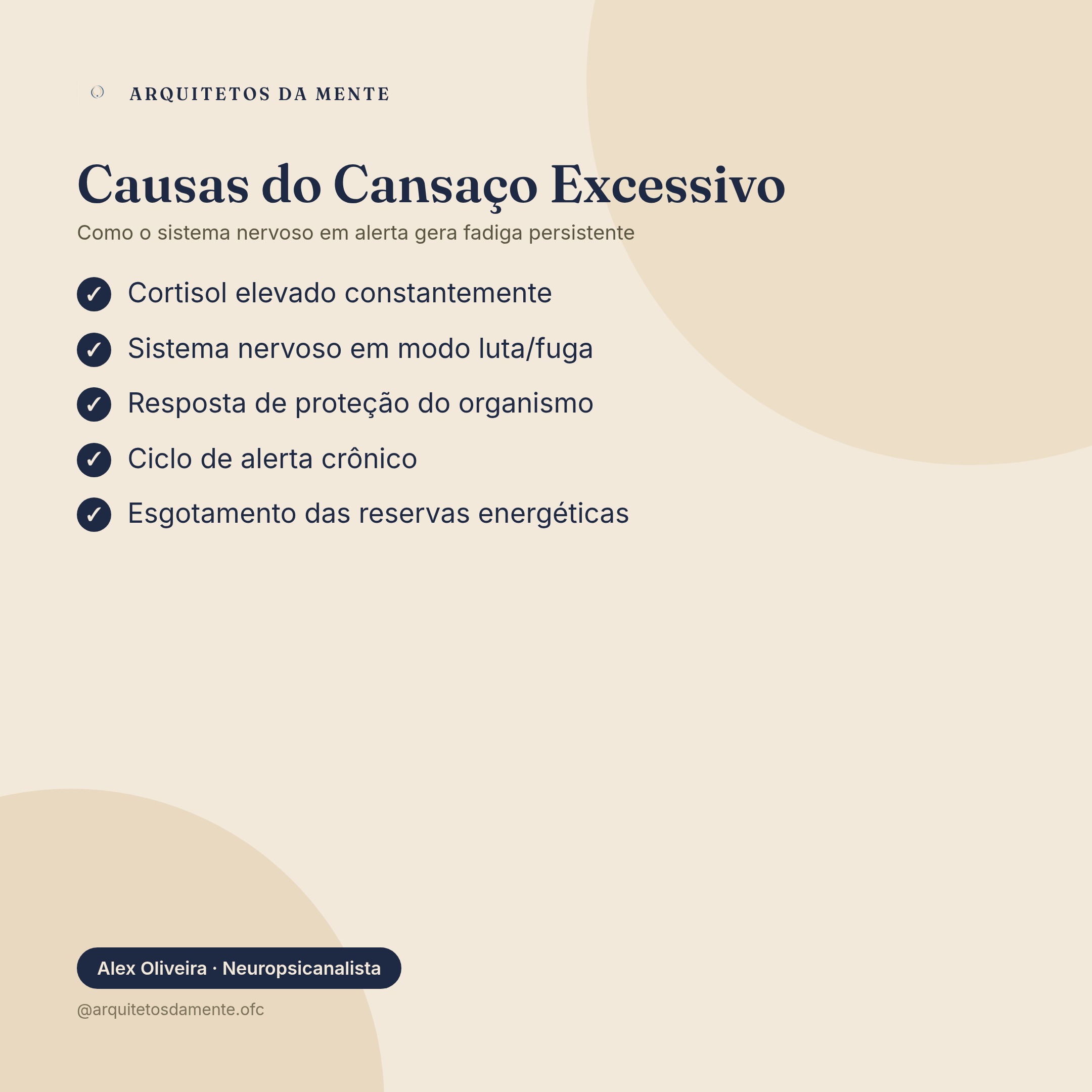 infográfico mostrando as causas do cansaço excessivo no sistema nervoso