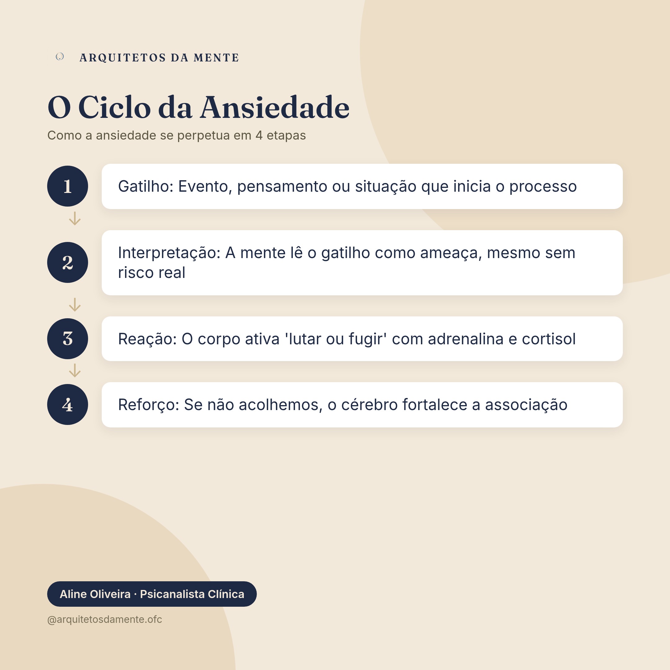 Ciclo da ansiedade com quatro etapas interconectadas mostrando como a ansiedade afeta o corpo e a mente