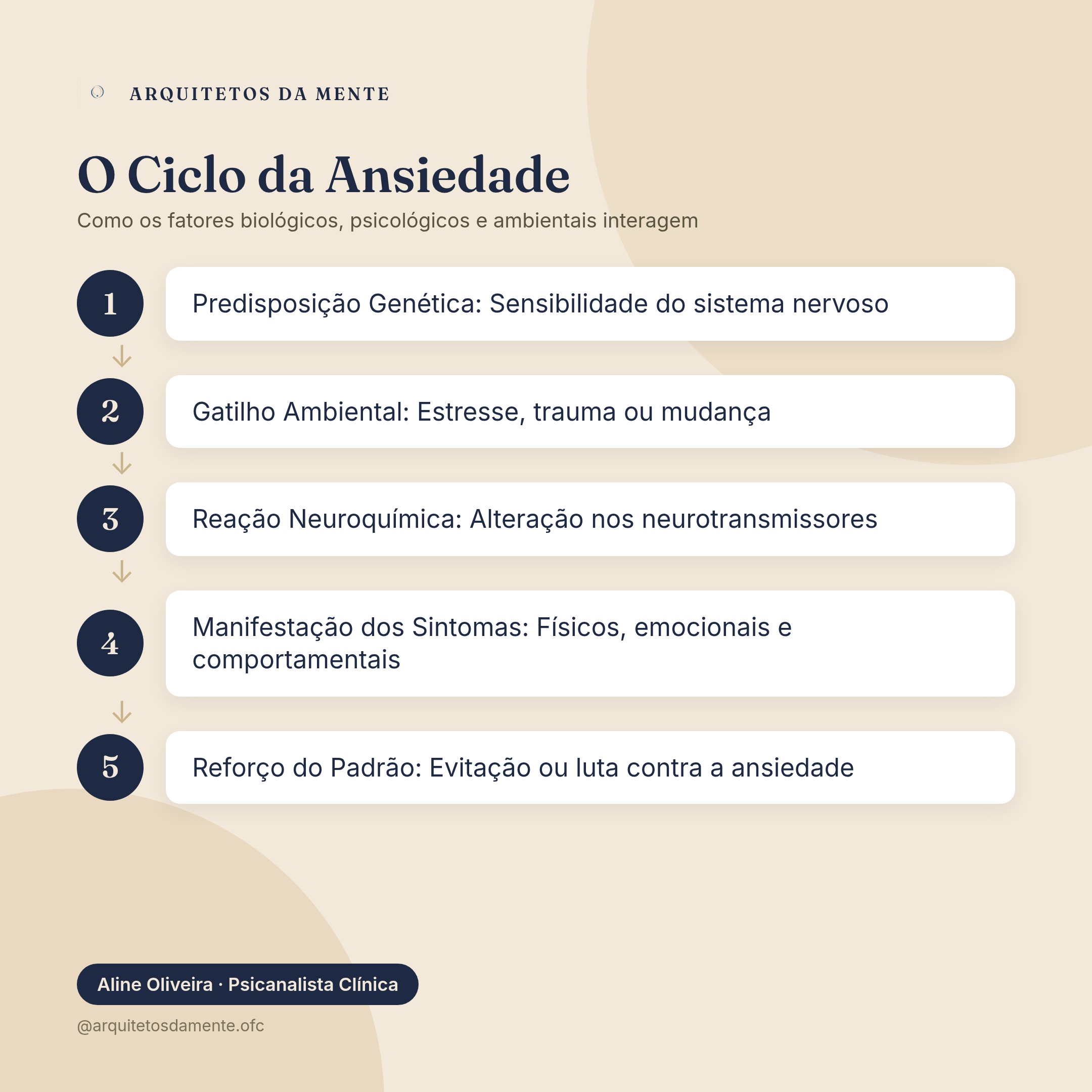 Mapa mental mostrando o que causa ansiedade através do ciclo interativo